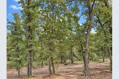 2812 County Road 805B, Keene, TX 76031 - Photo 8