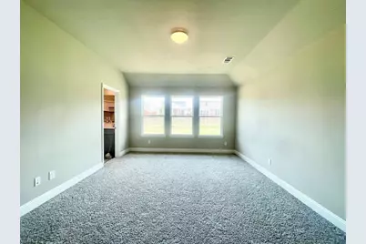 809 Tartane Drive, Anna, TX 75409 - Photo 16