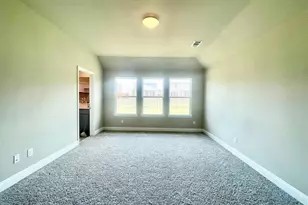 809 Tartane Dr, Anna, TX 75409 - Photo 16
