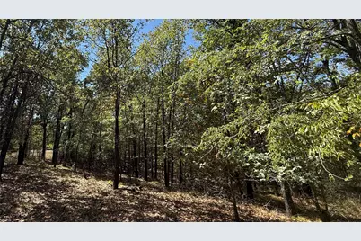 Lot 22 Loper Circle, Streetman, TX 75859 - Photo 24
