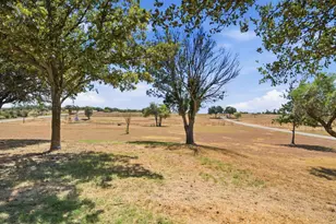100 Shadle Ridge Ct, Poolville, TX 76487 - Photo 28