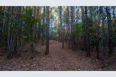 Tbd Fm 2015, Tyler, TX 75708 - Photo 12