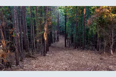 Tbd Fm 2015, Tyler, TX 75708 - Photo 18