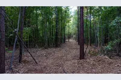 Tbd Fm 2015, Tyler, TX 75708 - Photo 20