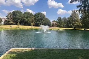 8908 Aplamado Dr, McKinney, TX 75072 - Photo 30