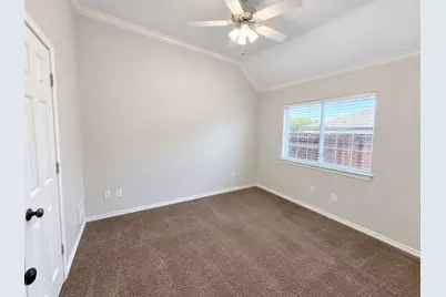 8908 Aplamado Drive, McKinney, TX 75072 - Photo 12