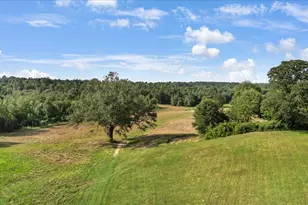 102 Private Rd 3174, Gilmer, TX 75644 - Photo 4