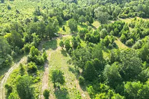 102 Private Rd 3174, Gilmer, TX 75644 - Photo 28