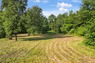 102 Private Rd 3174, Gilmer, TX 75644 - Photo 32