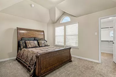 2431 Lusitano Lane, Celina, TX 75009 - Photo 20