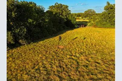 330 County Road 930, Teague, TX 75860 - Photo 6