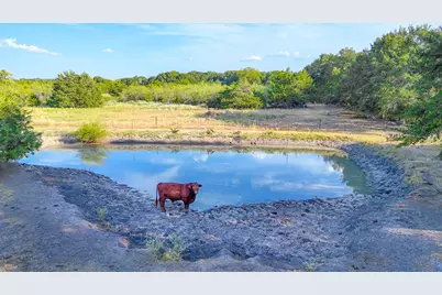 Tbd County Road 2190, Kerens, TX 75144 - Photo 2