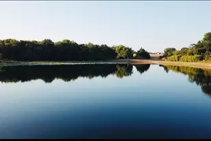 17311 E Hwy 82 Hwy 82 E, Honey Grove, TX 75446 - Photo 14