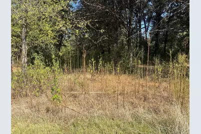 379 & 401 Cr 167, Whitesboro, TX 76273 - Photo 6