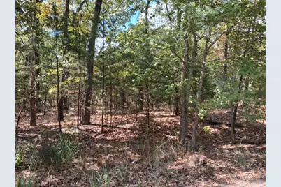 Tbd Hideaway, Murchison, TX 75778 - Photo 2
