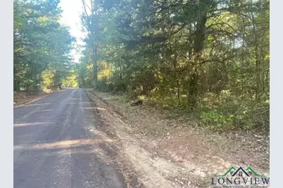 Tbd Aster Road, Gilmer, TX 75644 - Photo 4