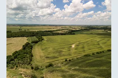 11 Acres County Rd 3150, Hubbard, TX 76648 - Photo 12