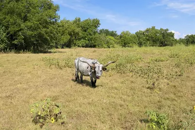 Tbd Fm-1991, Clifton, TX 76634 - Photo 14