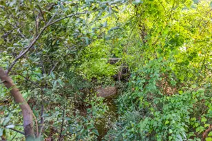 737 N Hampton Rd, Dallas, TX 75208 - Photo 4