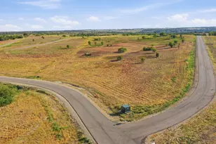 3201 Lucky Pepper Dr, Cresson, TX 76035 - Photo 1