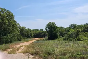 301 Timber Trail, Alvord, TX 76225 - Photo 1