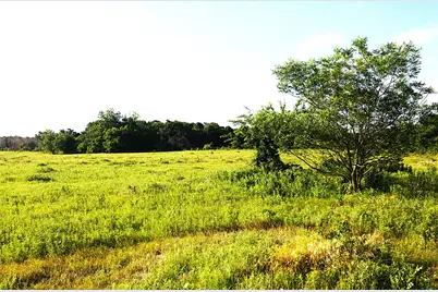 316 Flowing Wells Road, Pottsboro, TX 75076 - Photo 8