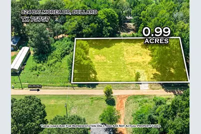 824 Balmorea Drive, Bullard, TX 75757 - Photo 1