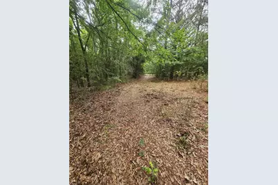 Tbd-C County Road 45400, Paris, TX 75462 - Photo 4