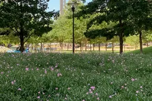 1200 Main St, Dallas, TX 75202 - Photo 28