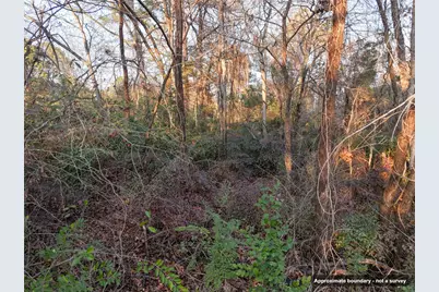 144 Circle Drive, Quitman, TX 75783 - Photo 14