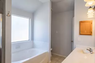 3315 Salmon St, Sachse, TX 75048 - Photo 18