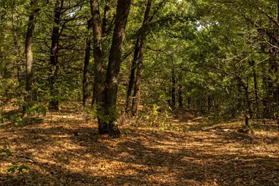 4 Acres Tiffany Lane, Whitesboro, TX 76273 - Photo 2