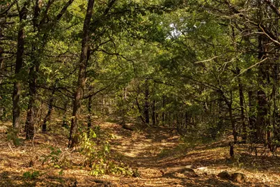 4 Acres Tiffany Lane, Whitesboro, TX 76273 - Photo 4