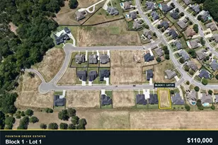 2004 Nichole Blvd, Pottsboro, TX 75076 - Photo 1