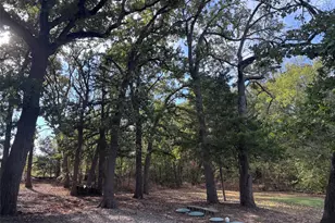 331 Frosty Holw Rd, Denison, TX 75021 - Photo 30