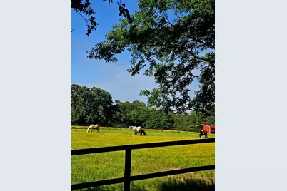 0000 Hwy 276, Point, TX 75472 - Photo 28