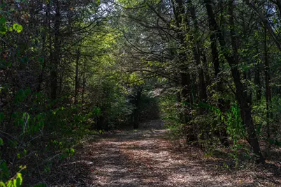5 Acres +- S Faye Lane, Whitesboro, TX 76273 - Photo 2