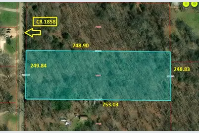 Tbd Cr 1858, Yantis, TX 75497 - Photo 2