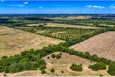 1 County Road 3505, Pecan Gap, TX 75469 - Photo 4