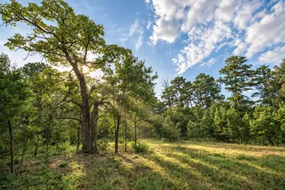 500 County Road 3805, Bullard, TX 75757 - Photo 4