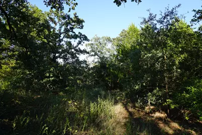 12641 Private Road 5104, Athens, TX 75751 - Photo 26