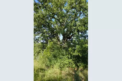 12641 Private Road 5104, Athens, TX 75751 - Photo 24