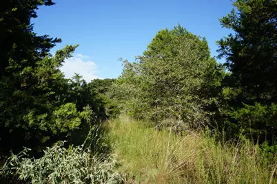 12641 Private Road 5104, Athens, TX 75751 - Photo 8