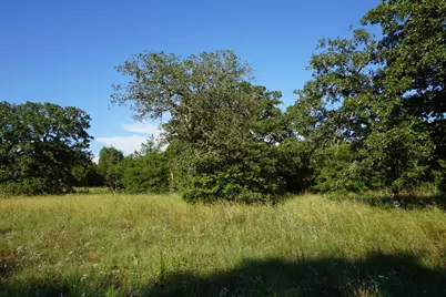 12641 Private Road 5104, Athens, TX 75751 - Photo 4