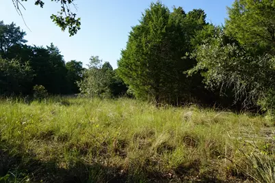 12641 Private Road 5104, Athens, TX 75751 - Photo 14