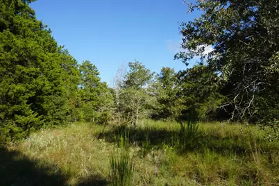 12641 Private Road 5104, Athens, TX 75751 - Photo 6