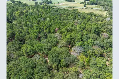 Tbd County Road 8987, Ben Wheeler, TX 75754 - Photo 8