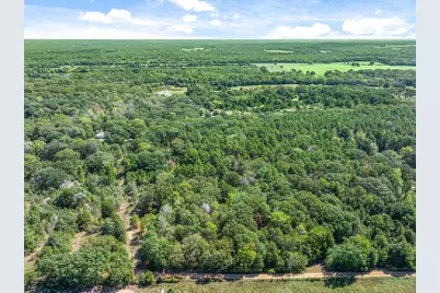 Tbd County Road 8987, Ben Wheeler, TX 75754 - Photo 2