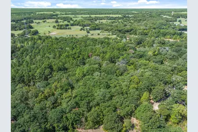 Tbd County Road 8987, Ben Wheeler, TX 75754 - Photo 12