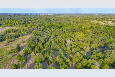 Tbd 13.112 Ac SE Cr 4240, Kerens, TX 75144 - Photo 28